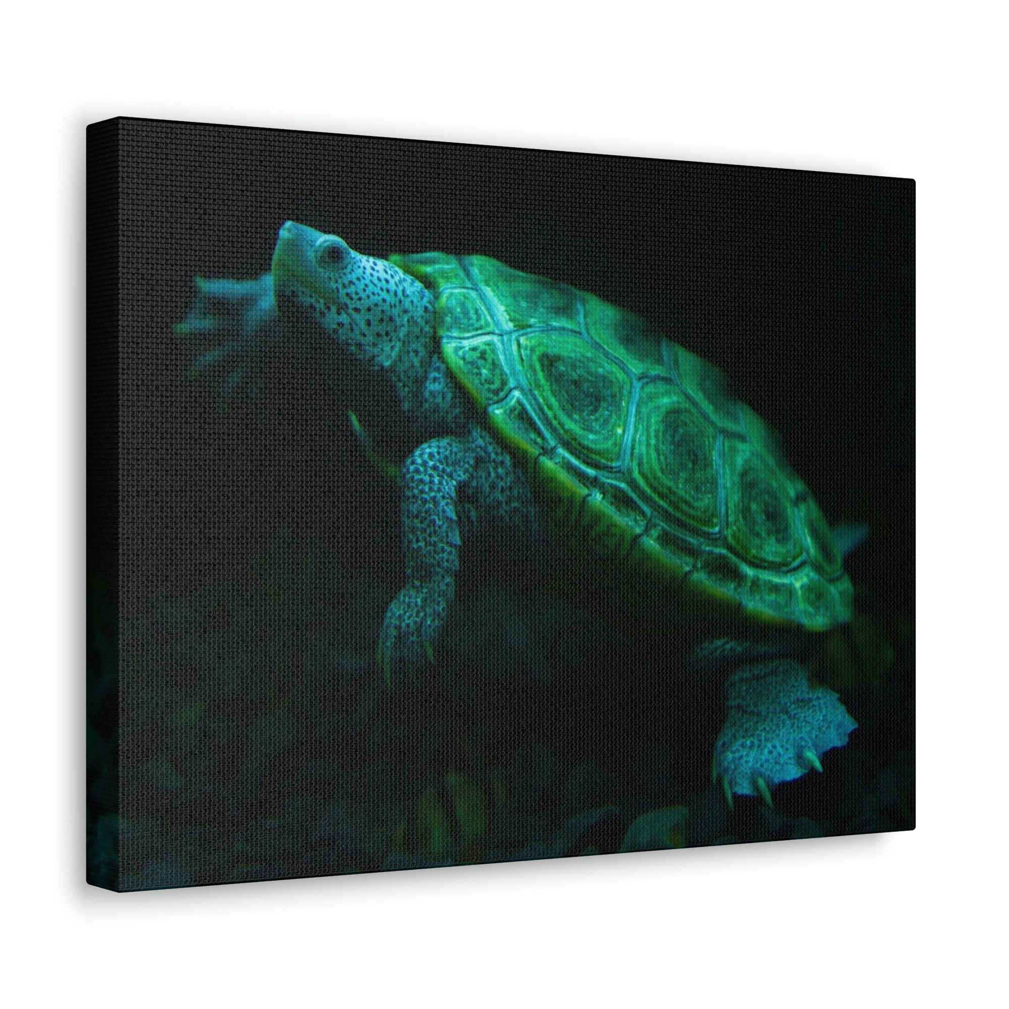 Scripture Walls Terrapin Hunting Terrapin on Hunt Print Animal Wall Art Wildlife Canvas Prints Wall Art Ready to Hang Unframed-Express Your Love Gifts