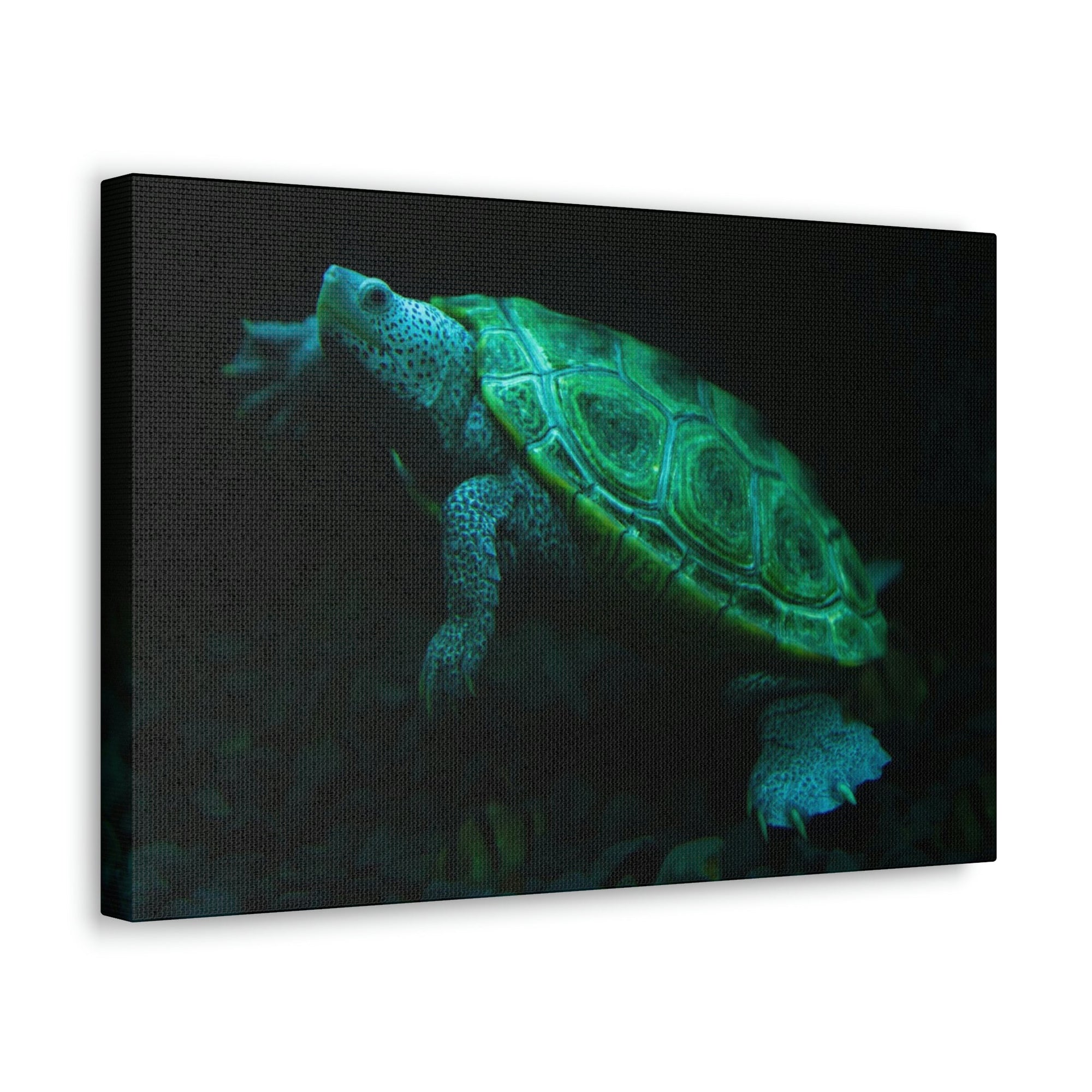 Scripture Walls Terrapin Hunting Terrapin on Hunt Print Animal Wall Art Wildlife Canvas Prints Wall Art Ready to Hang Unframed-Express Your Love Gifts