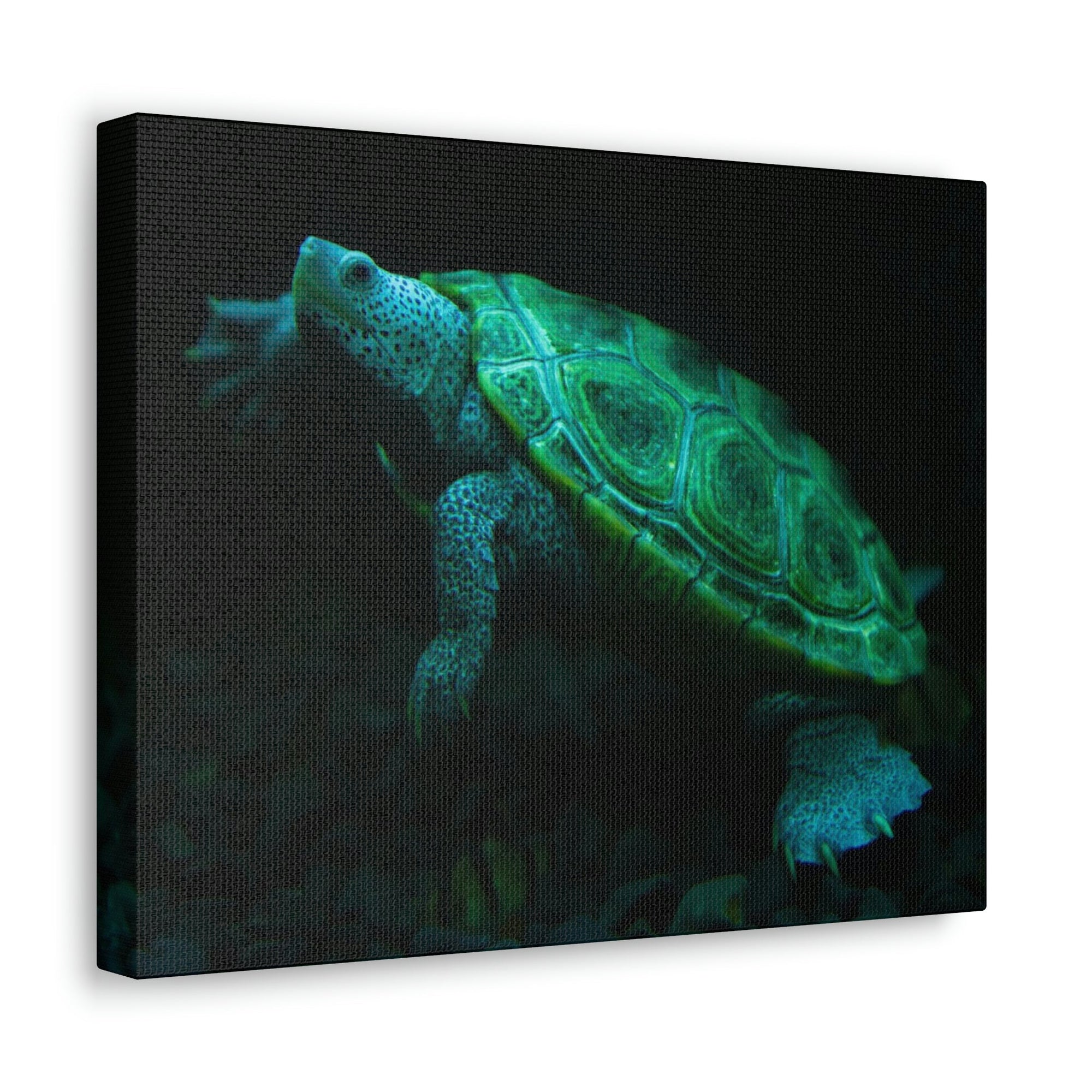 Scripture Walls Terrapin Hunting Terrapin on Hunt Print Animal Wall Art Wildlife Canvas Prints Wall Art Ready to Hang Unframed-Express Your Love Gifts