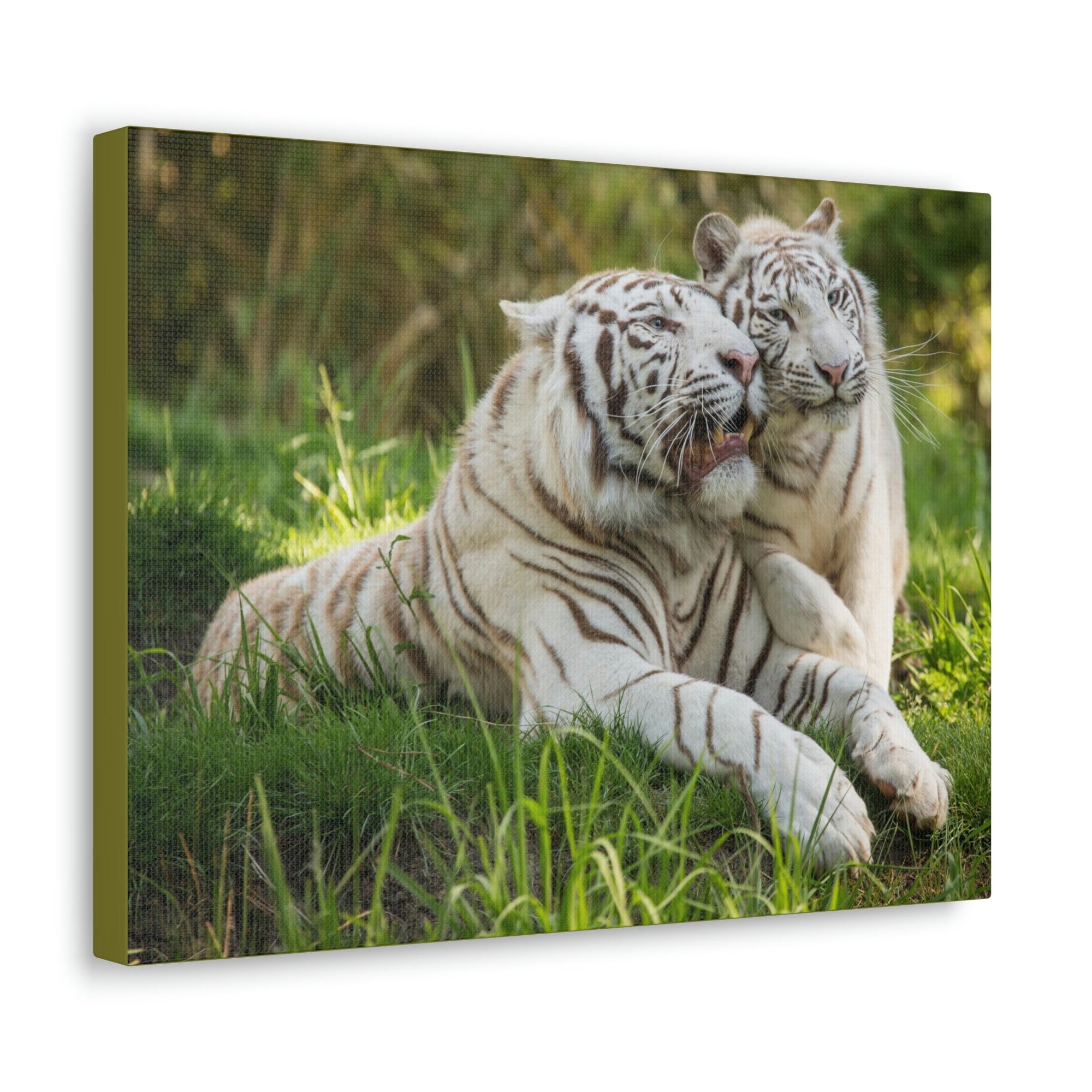 Scripture Walls Tiger Couple Tiger Couple Print Animal Wall Art Wildlife Canvas Prints Wall Art Ready to Hang Unframed-Express Your Love Gifts