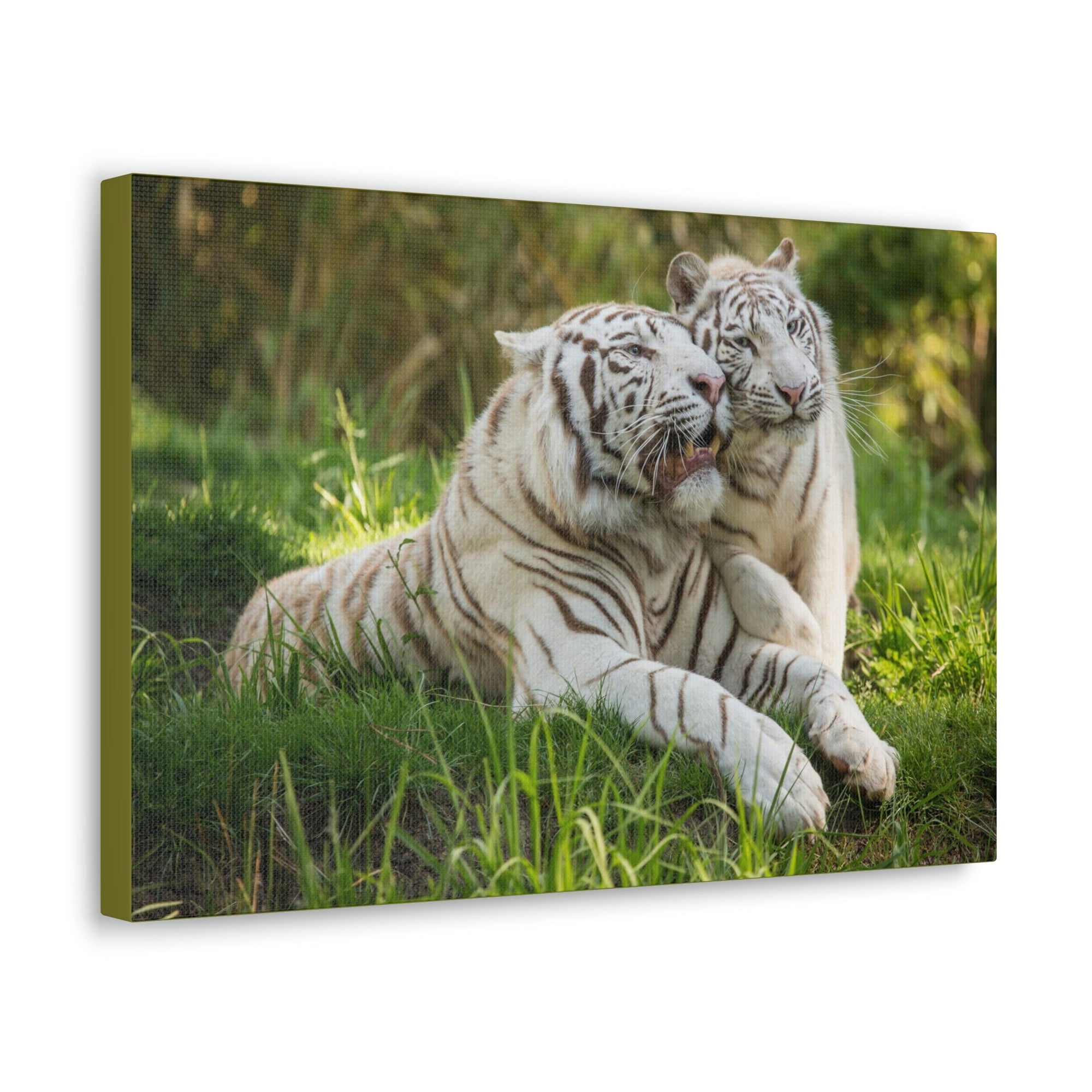 Scripture Walls Tiger Couple Tiger Couple Print Animal Wall Art Wildlife Canvas Prints Wall Art Ready to Hang Unframed-Express Your Love Gifts