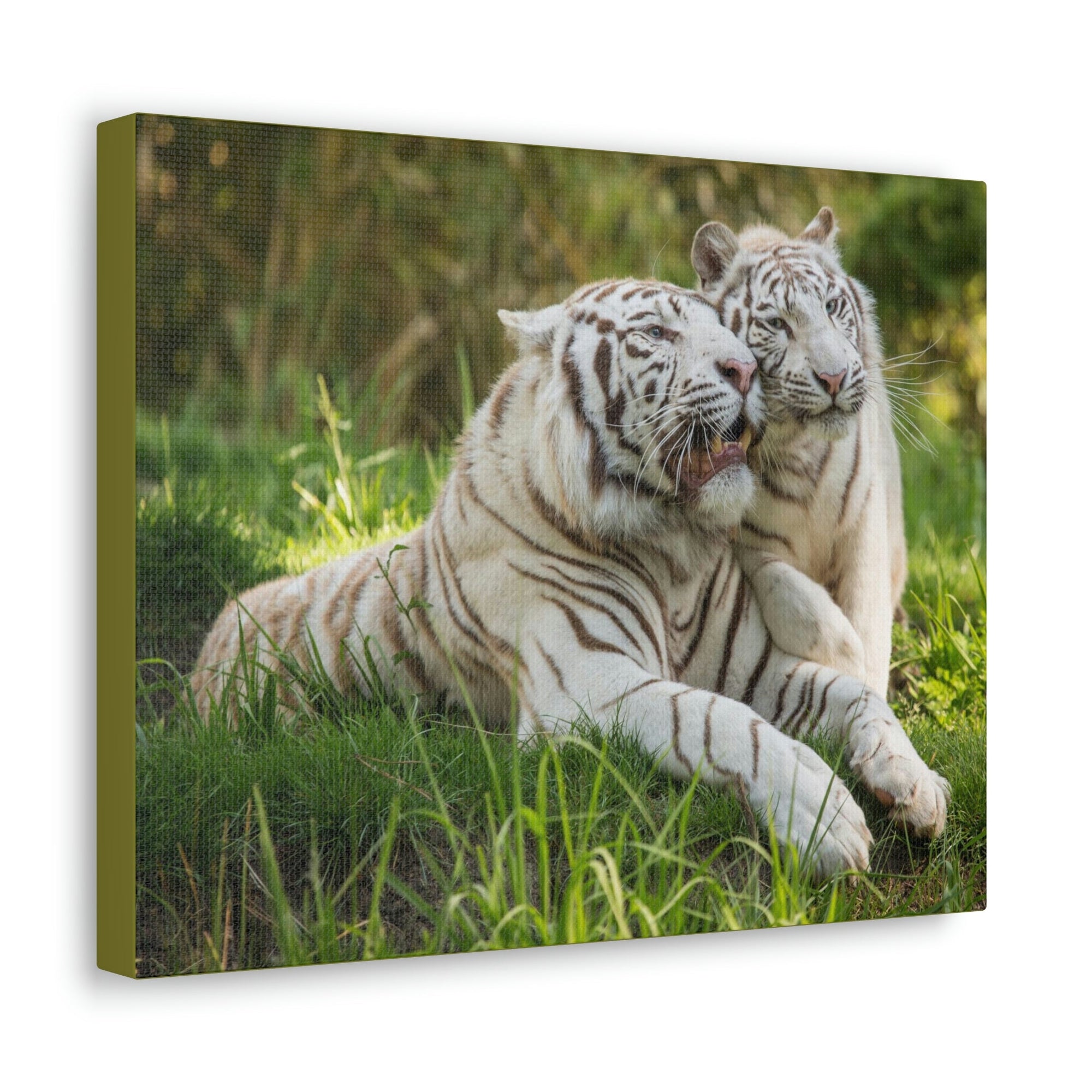 Scripture Walls Tiger Couple Tiger Couple Print Animal Wall Art Wildlife Canvas Prints Wall Art Ready to Hang Unframed-Express Your Love Gifts