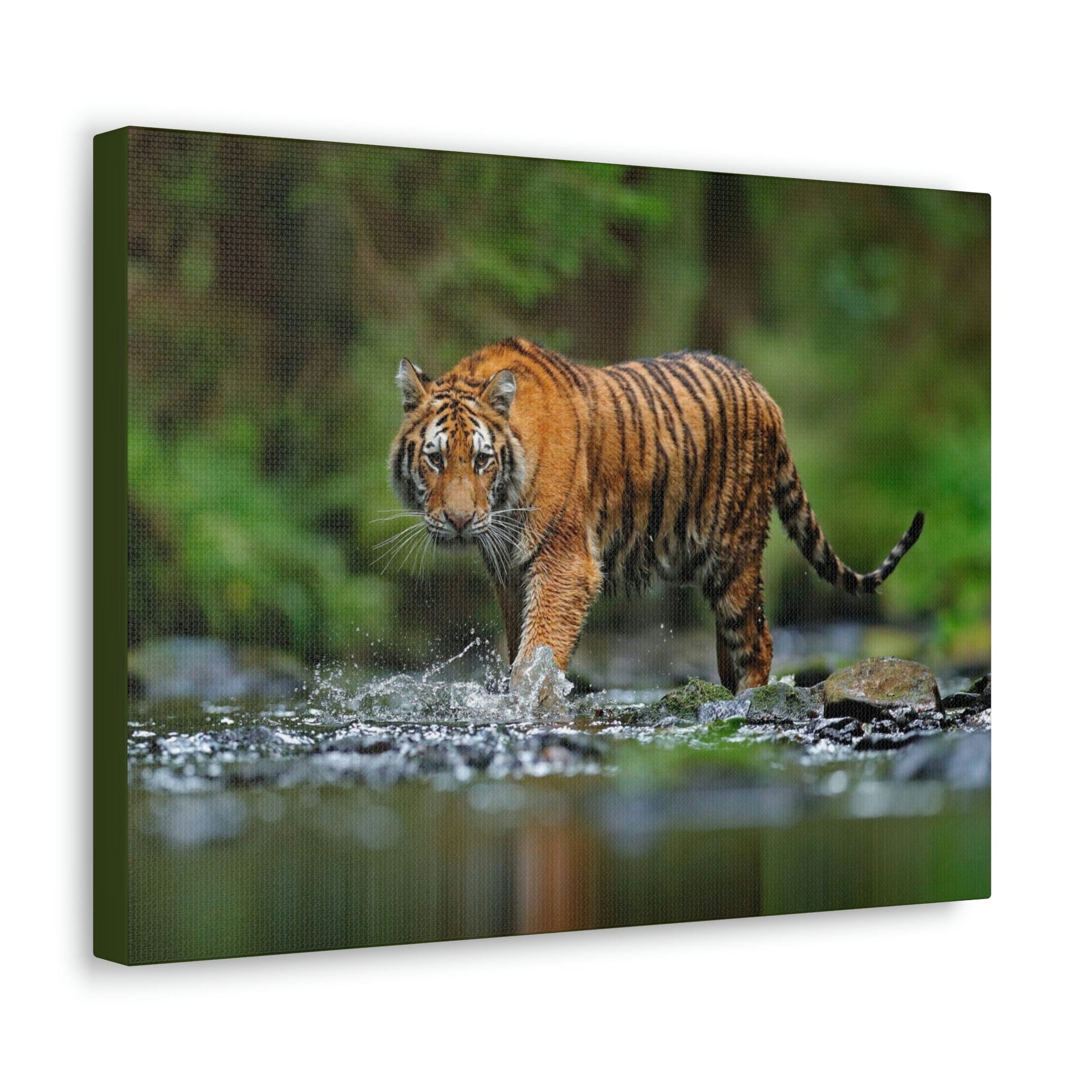 Scripture Walls Tiger Hunting Tiger on Hunt Print Animal Wall Art Wildlife Canvas Prints Wall Art Ready to Hang Unframed-Express Your Love Gifts