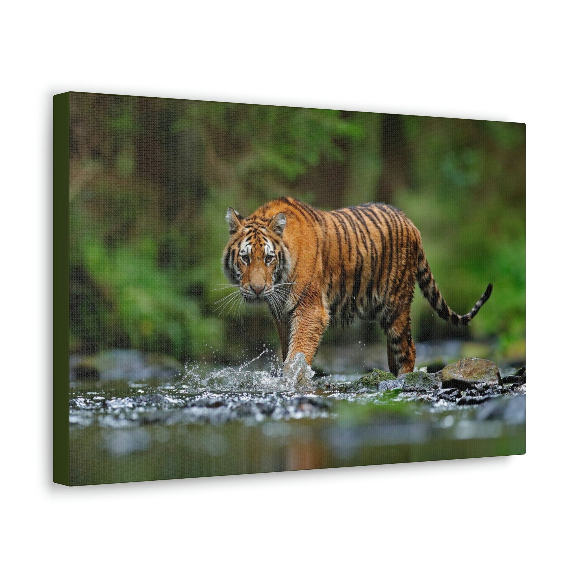 Scripture Walls Tiger Hunting Tiger on Hunt Print Animal Wall Art Wildlife Canvas Prints Wall Art Ready to Hang Unframed-Express Your Love Gifts