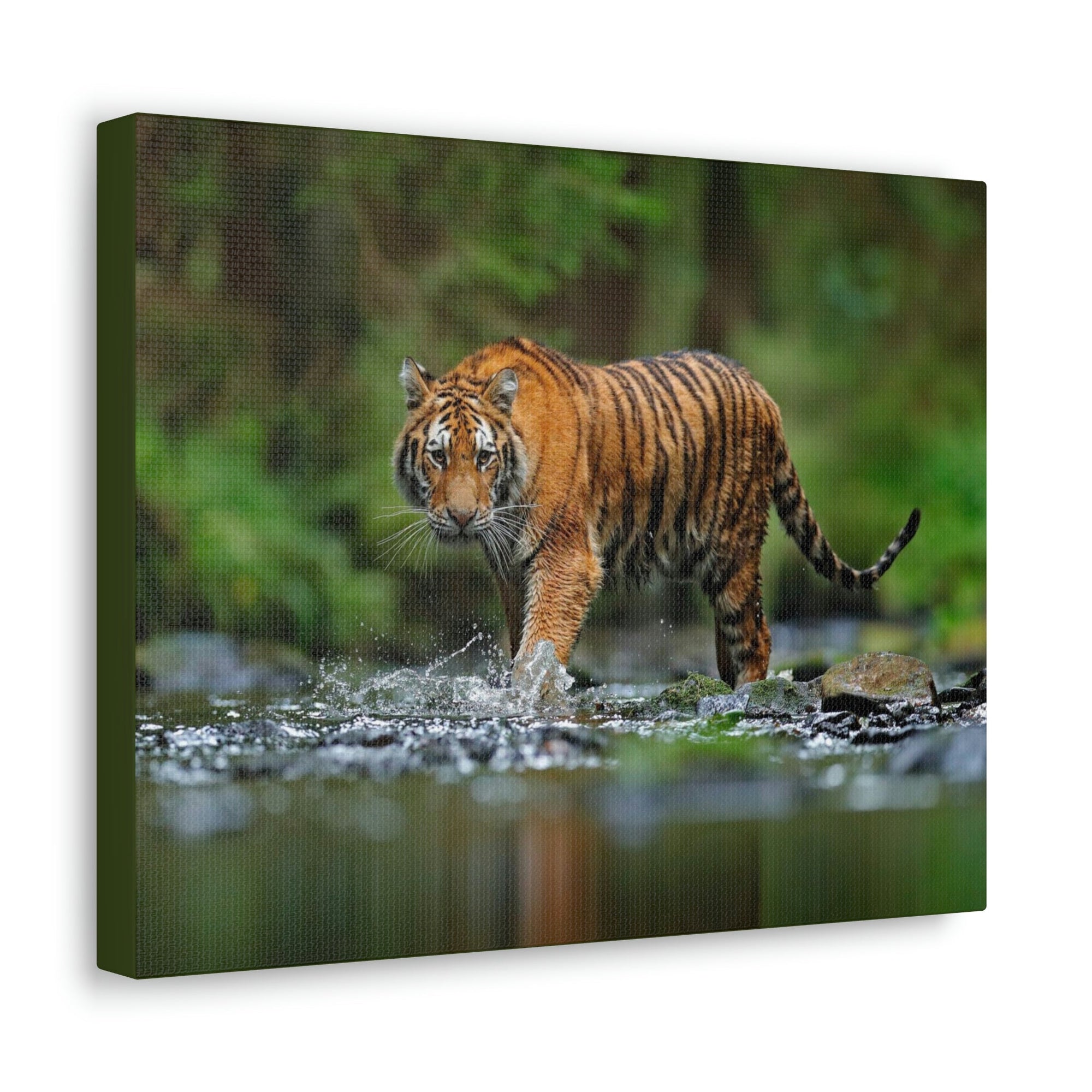 Scripture Walls Tiger Hunting Tiger on Hunt Print Animal Wall Art Wildlife Canvas Prints Wall Art Ready to Hang Unframed-Express Your Love Gifts