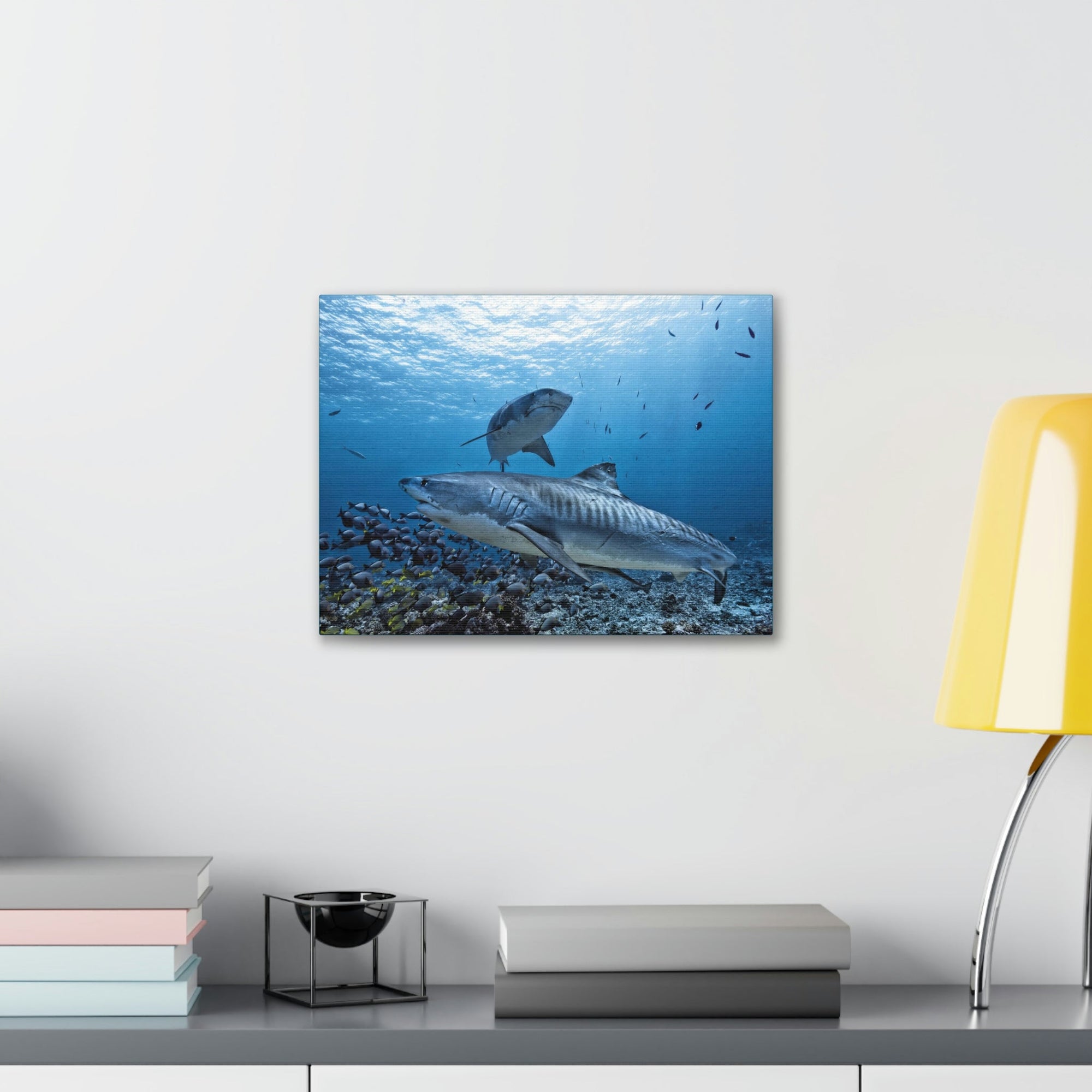 Scripture Walls Tiger Shark Hunting Tiger Shark on Hunt Print Animal Wall Art Wildlife Canvas Prints Wall Art Ready to Hang Unframed-Express Your Love Gifts