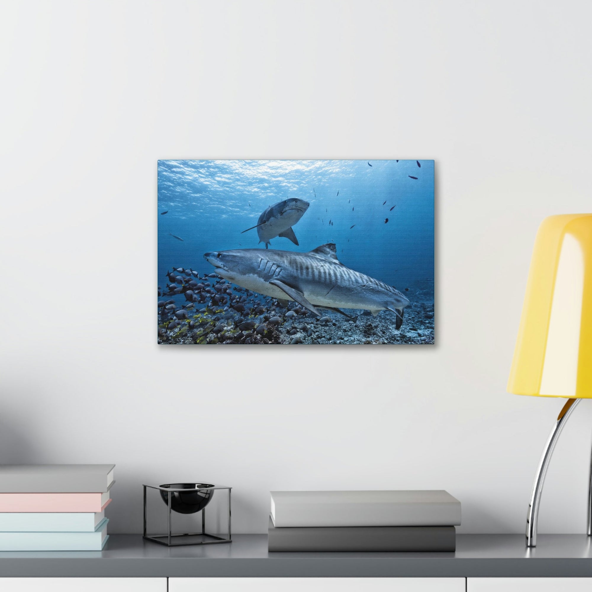 Scripture Walls Tiger Shark Hunting Tiger Shark on Hunt Print Animal Wall Art Wildlife Canvas Prints Wall Art Ready to Hang Unframed-Express Your Love Gifts