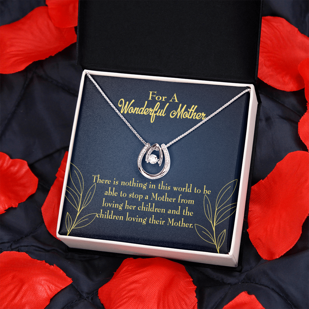 To Mom Nothing in this World Lucky Horseshoe Necklace Message Card 14k w CZ Crystals-Express Your Love Gifts