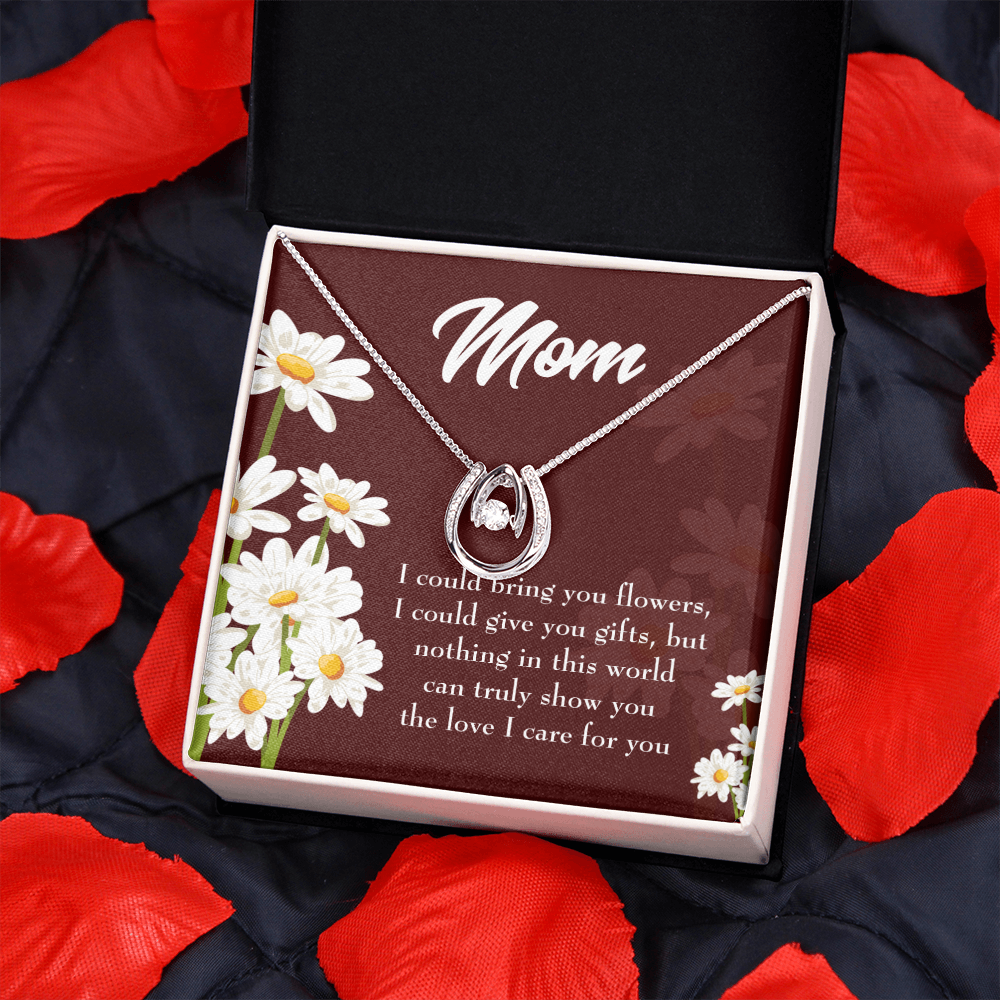 To Mom Nothing in World Lucky Horseshoe Necklace Message Card 14k w CZ Crystals-Express Your Love Gifts