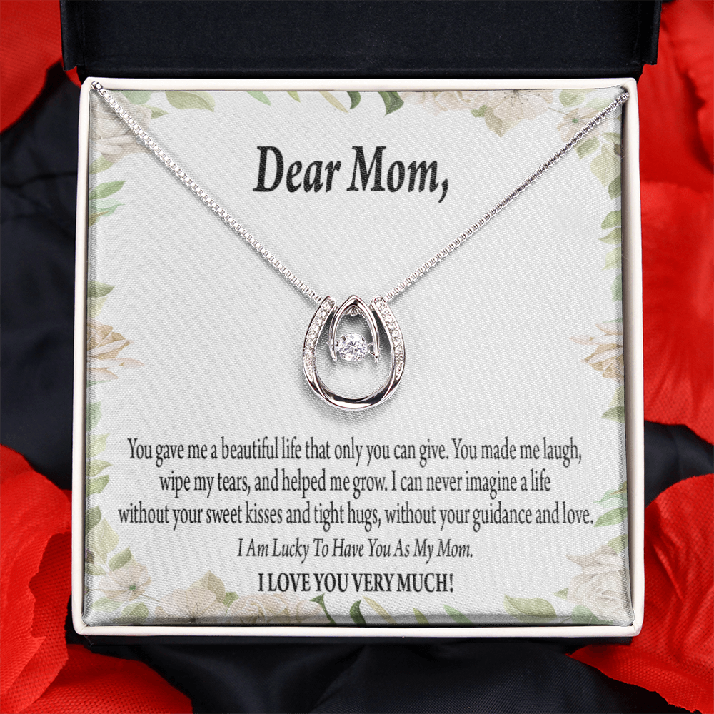 To Mom Unique Present Lucky Horseshoe Necklace Message Card 14k w CZ Crystals-Express Your Love Gifts