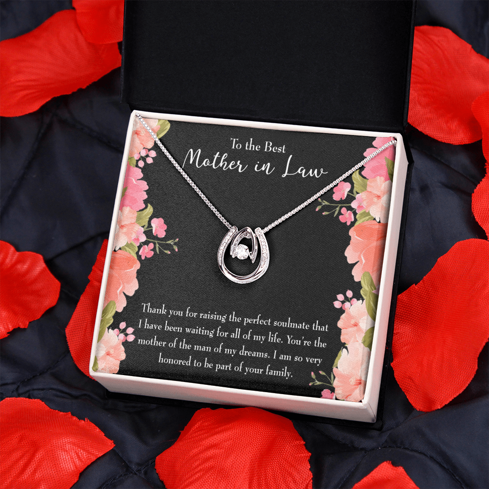 To Mother-in-Law Lucky Horseshoe Necklace Message Card 14k w CZ Crystals-Express Your Love Gifts