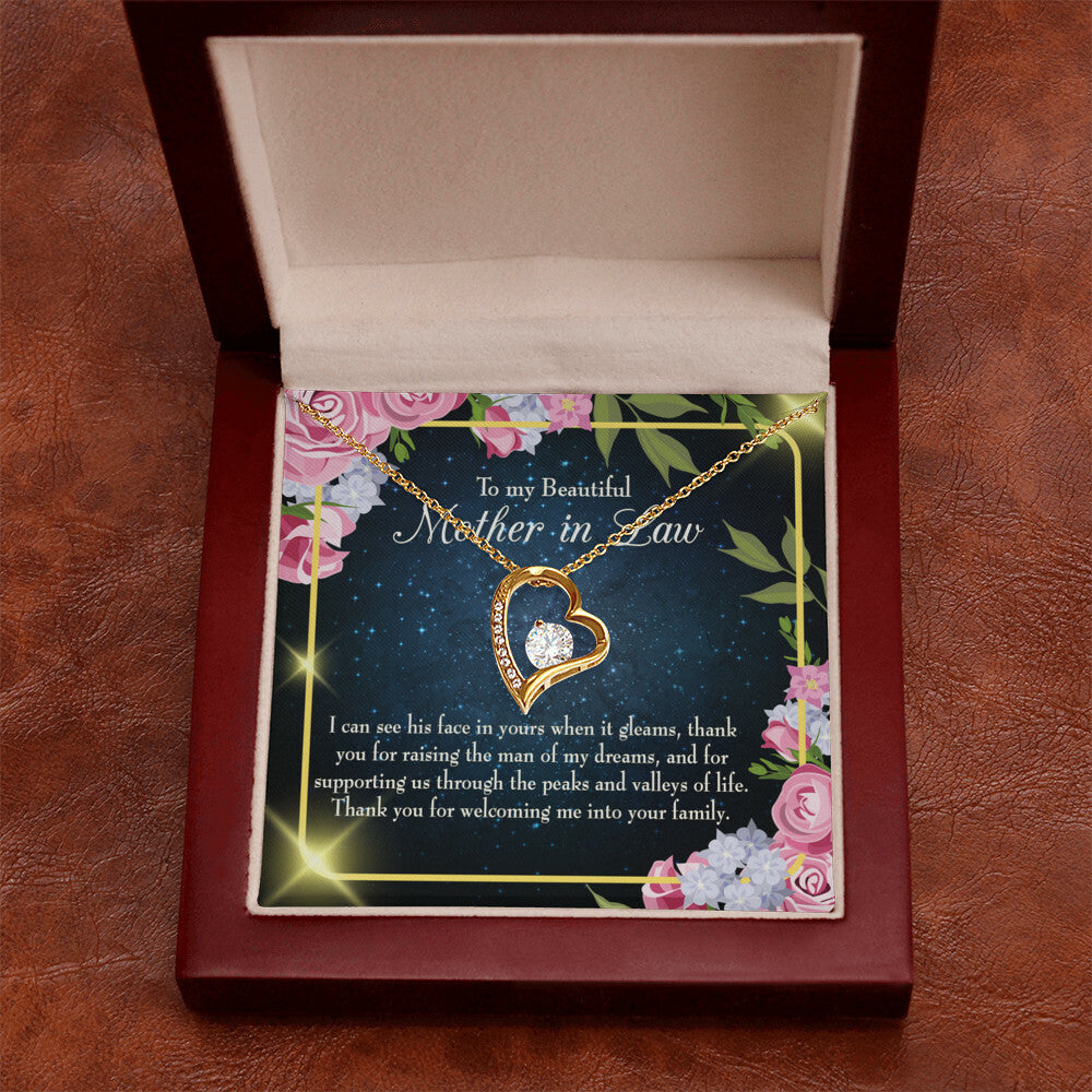 To Mother-in-Law Peask and Valley of Life Forever Necklace w Message Card-Express Your Love Gifts