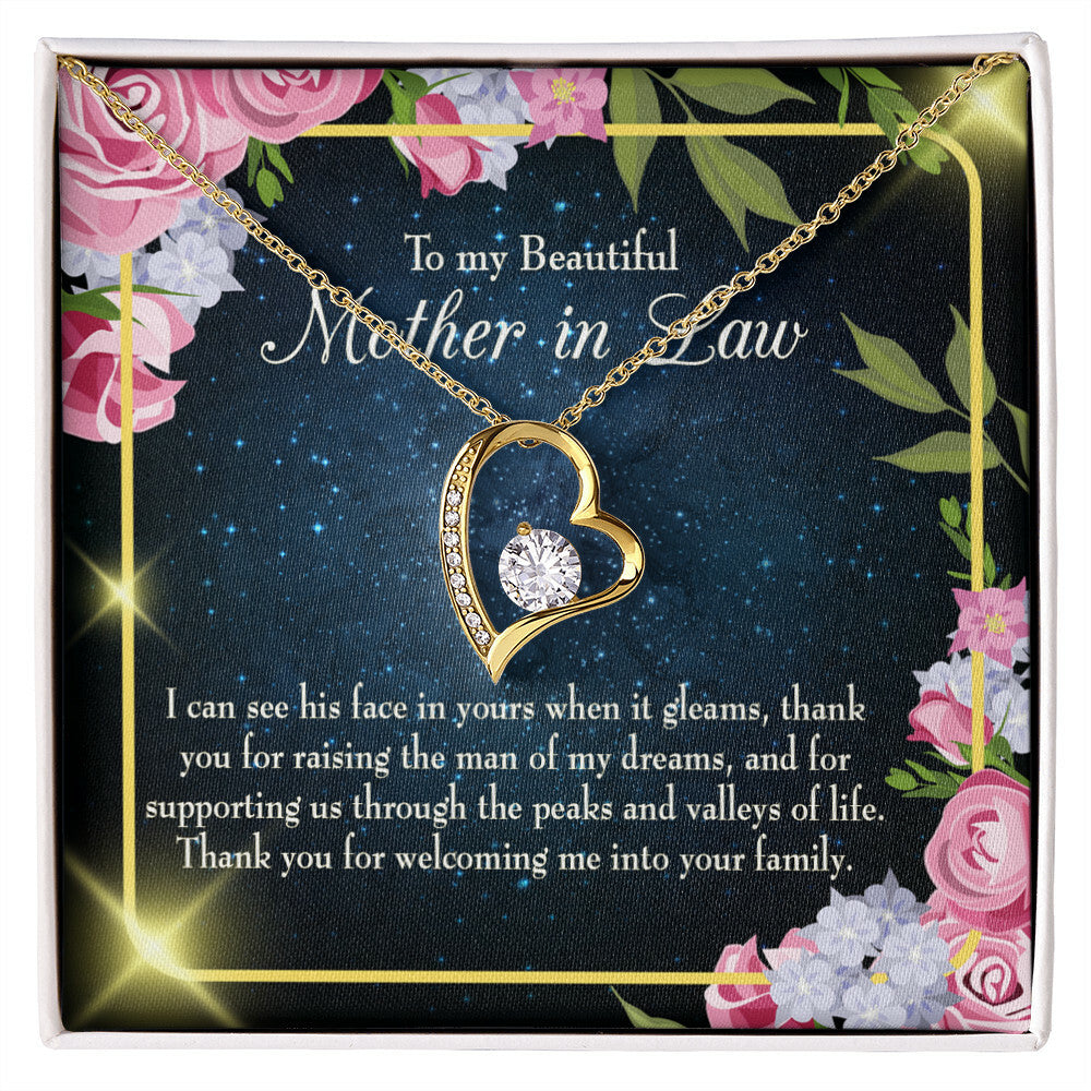 To Mother-in-Law Peask and Valley of Life Forever Necklace w Message Card-Express Your Love Gifts