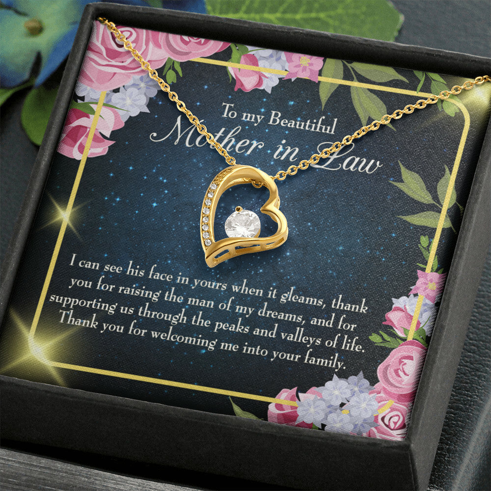 To Mother-in-Law Peask and Valley of Life Forever Necklace w Message Card-Express Your Love Gifts