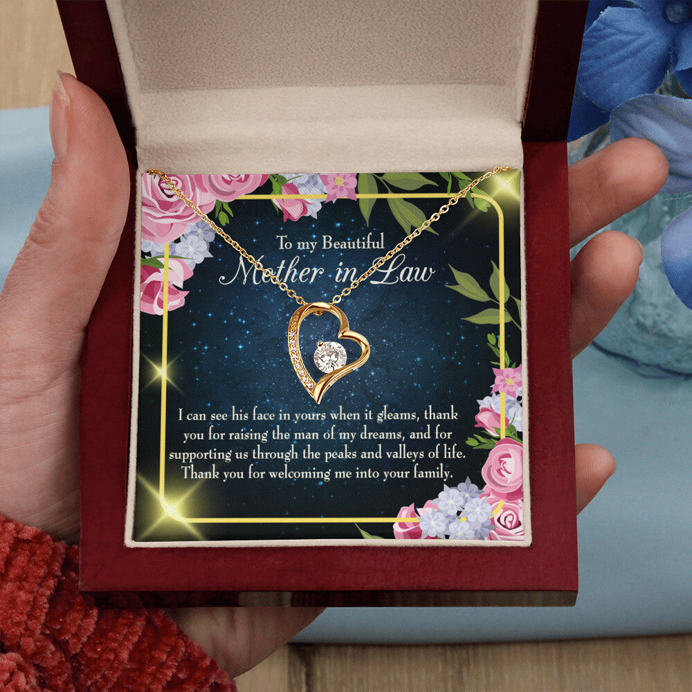 To Mother-in-Law Peask and Valley of Life Forever Necklace w Message Card-Express Your Love Gifts