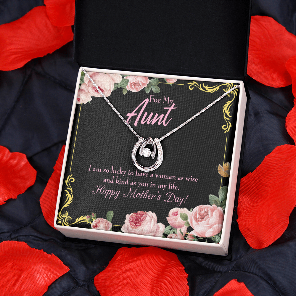 To My Aunt Happy Mothers Day Lucky Horseshoe Necklace Message Card 14k w CZ Crystals-Express Your Love Gifts