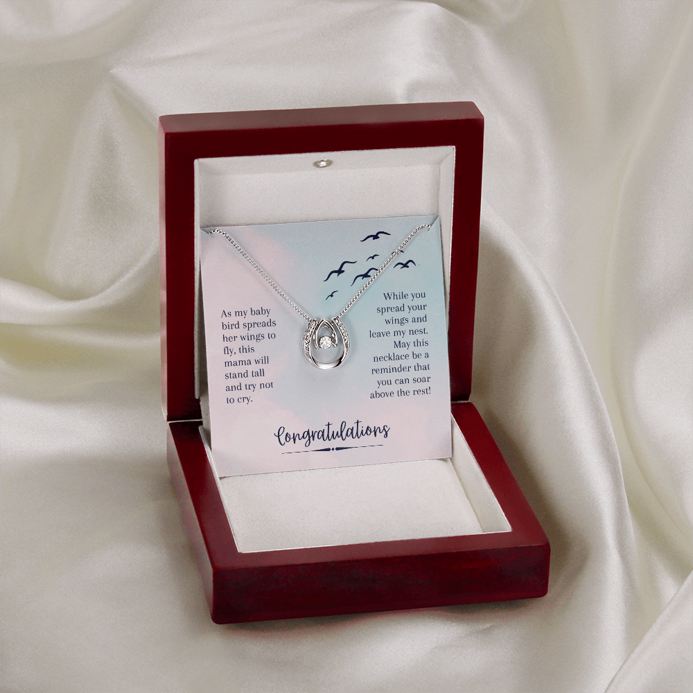 To My Daughter Soar Above the rest - Graduation Lucky Horseshoe Necklace Message Card 14k w CZ Crystals-Express Your Love Gifts