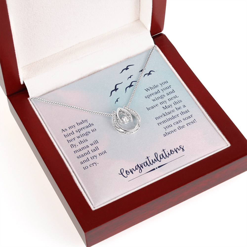 To My Daughter Soar Above the rest - Graduation Lucky Horseshoe Necklace Message Card 14k w CZ Crystals-Express Your Love Gifts