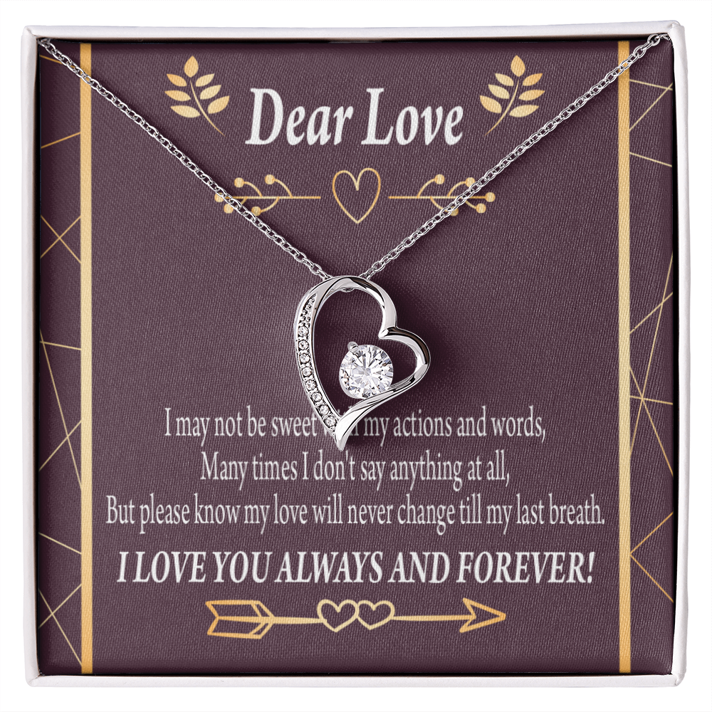 To My Girlfriend Apology to Wife Girlfriend My Love Forever Necklace w Message Card-Express Your Love Gifts