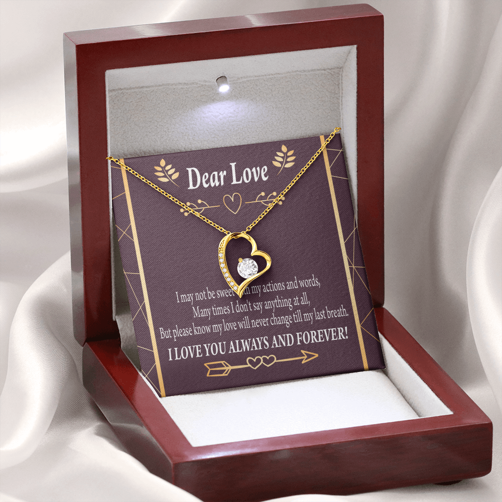 To My Girlfriend Apology to Wife Girlfriend My Love Forever Necklace w Message Card-Express Your Love Gifts