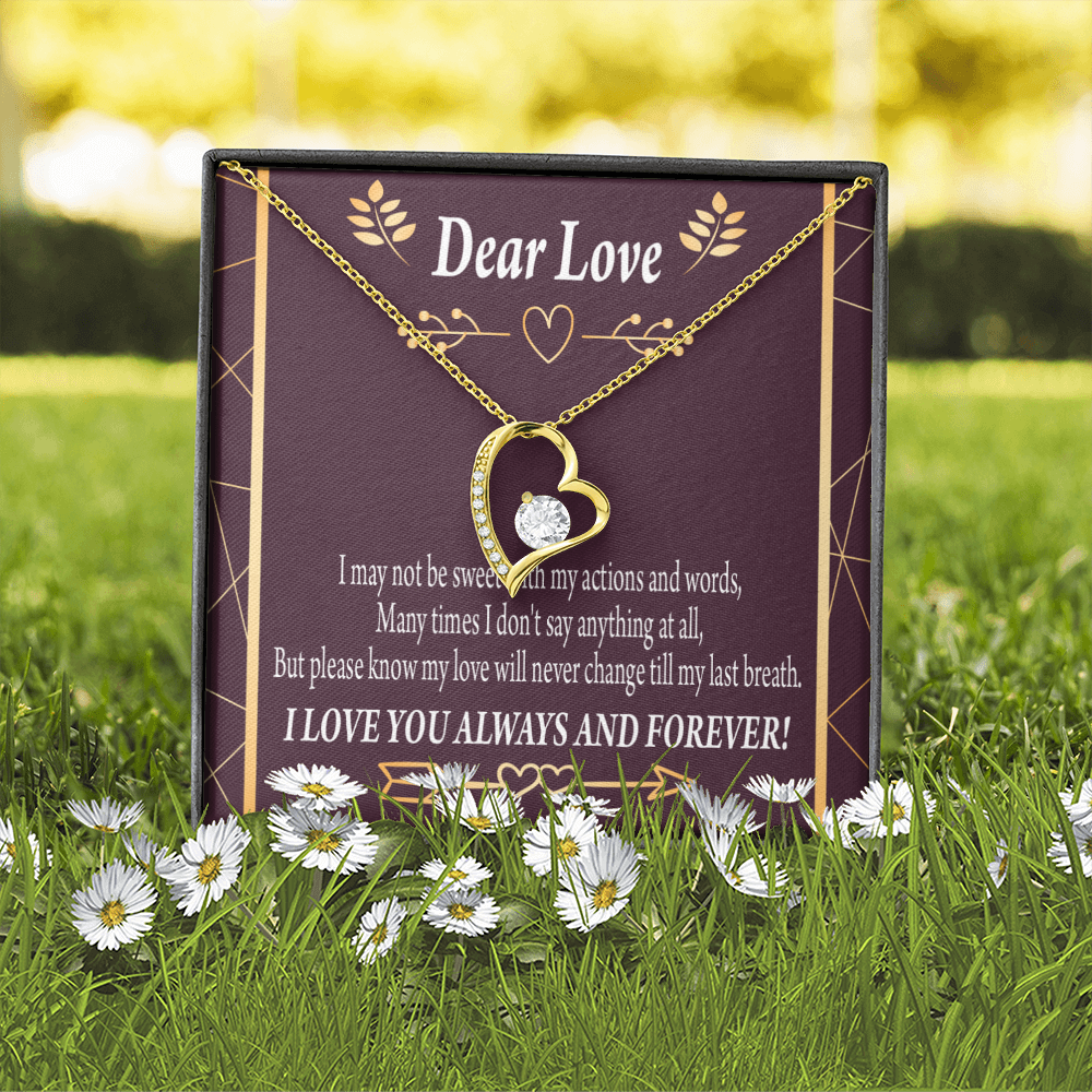 To My Girlfriend Apology to Wife Girlfriend My Love Forever Necklace w Message Card-Express Your Love Gifts