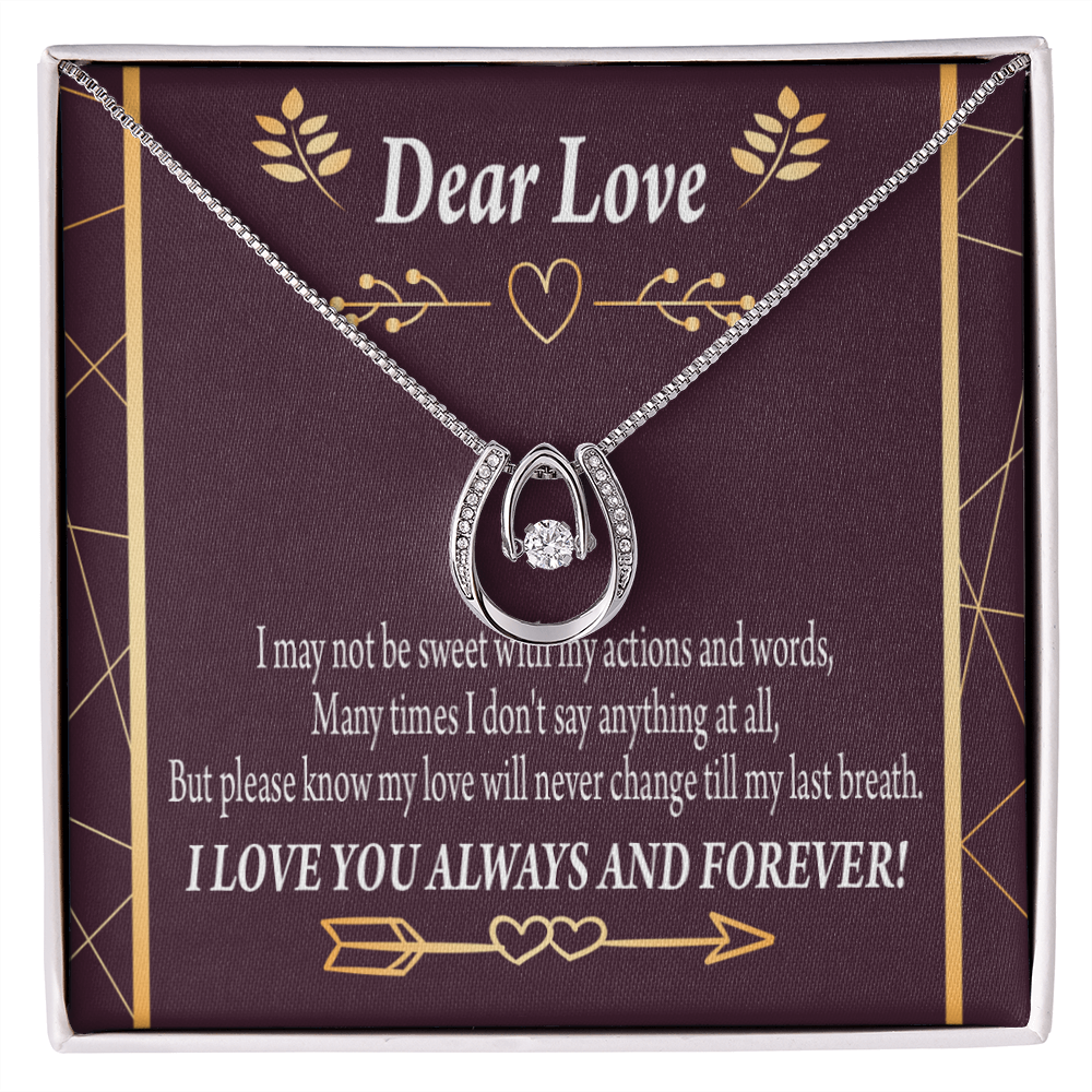 To My Girlfriend Apology to Wife Girlfriend My Love Lucky Horseshoe Necklace Message Card 14k w CZ Crystals-Express Your Love Gifts