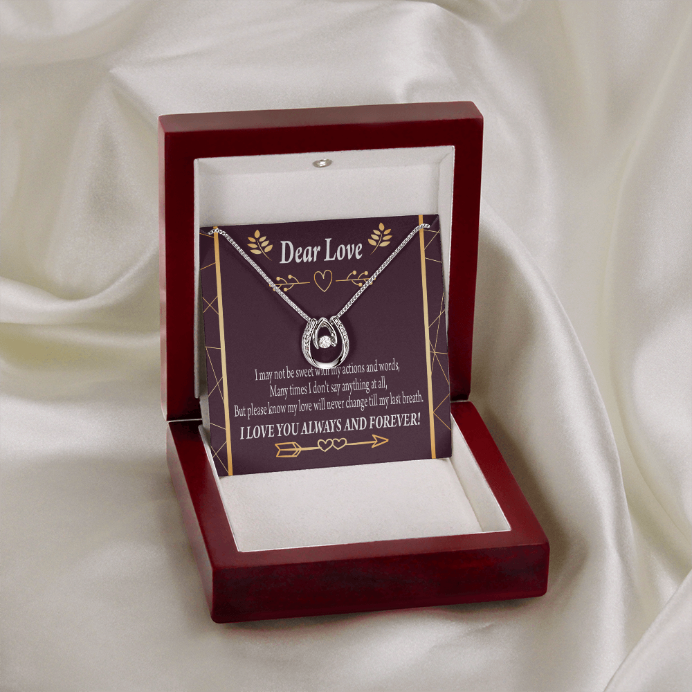 To My Girlfriend Apology to Wife Girlfriend My Love Lucky Horseshoe Necklace Message Card 14k w CZ Crystals-Express Your Love Gifts