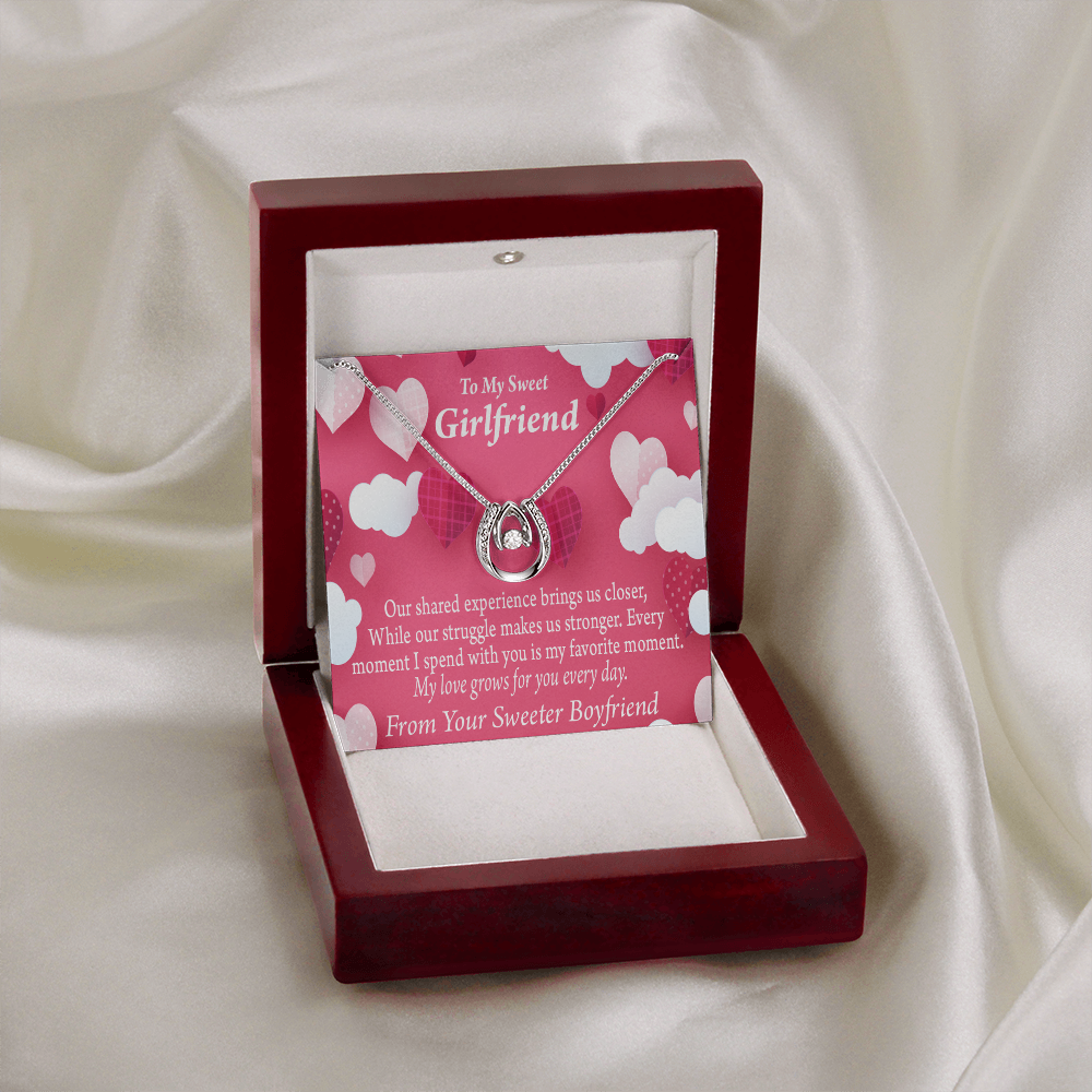 To My Girlfriend Every Moment Card Lucky Horseshoe Necklace Message Card 14k w CZ Crystals-Express Your Love Gifts