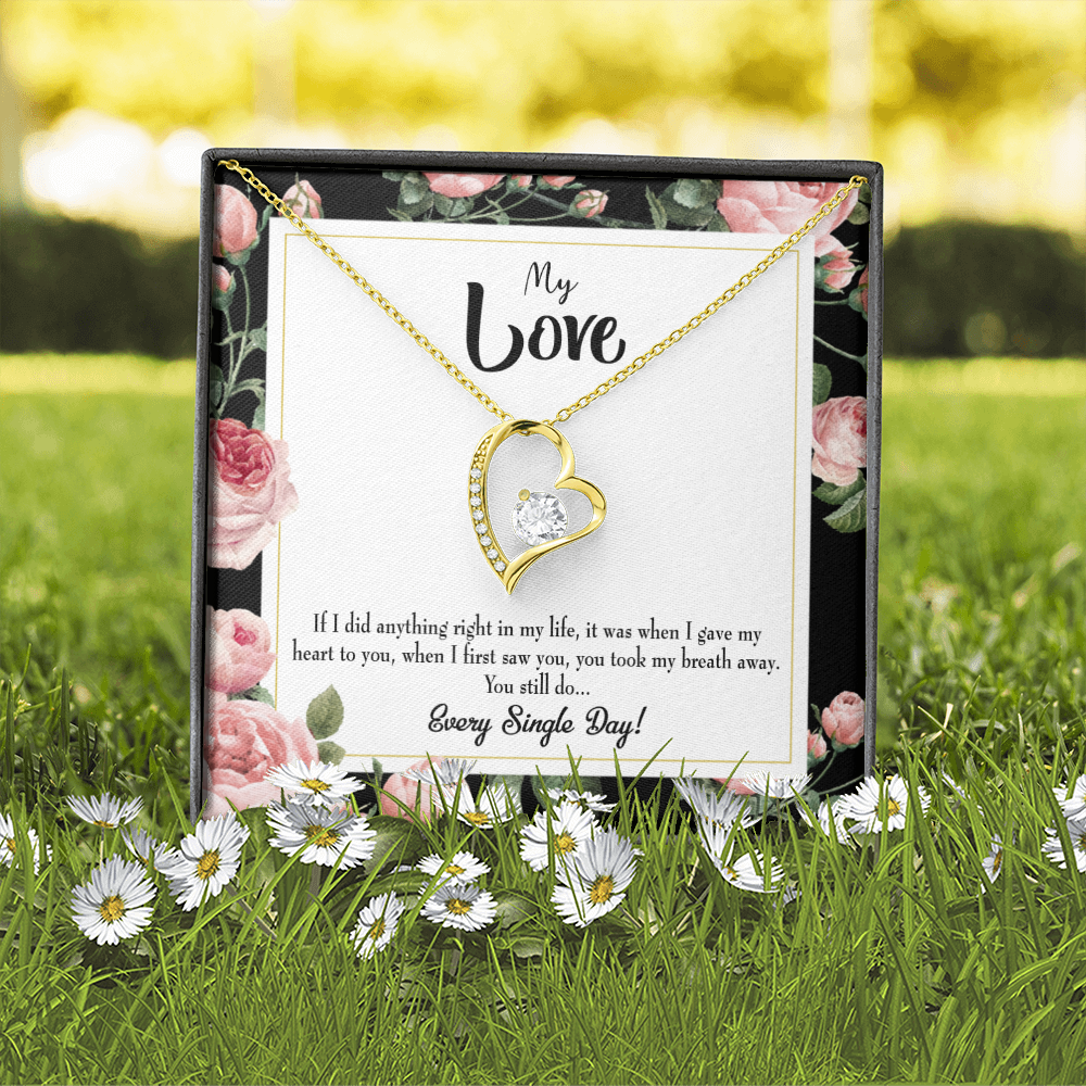 To My Girlfriend Every Single Day Forever Necklace w Message Card-Express Your Love Gifts