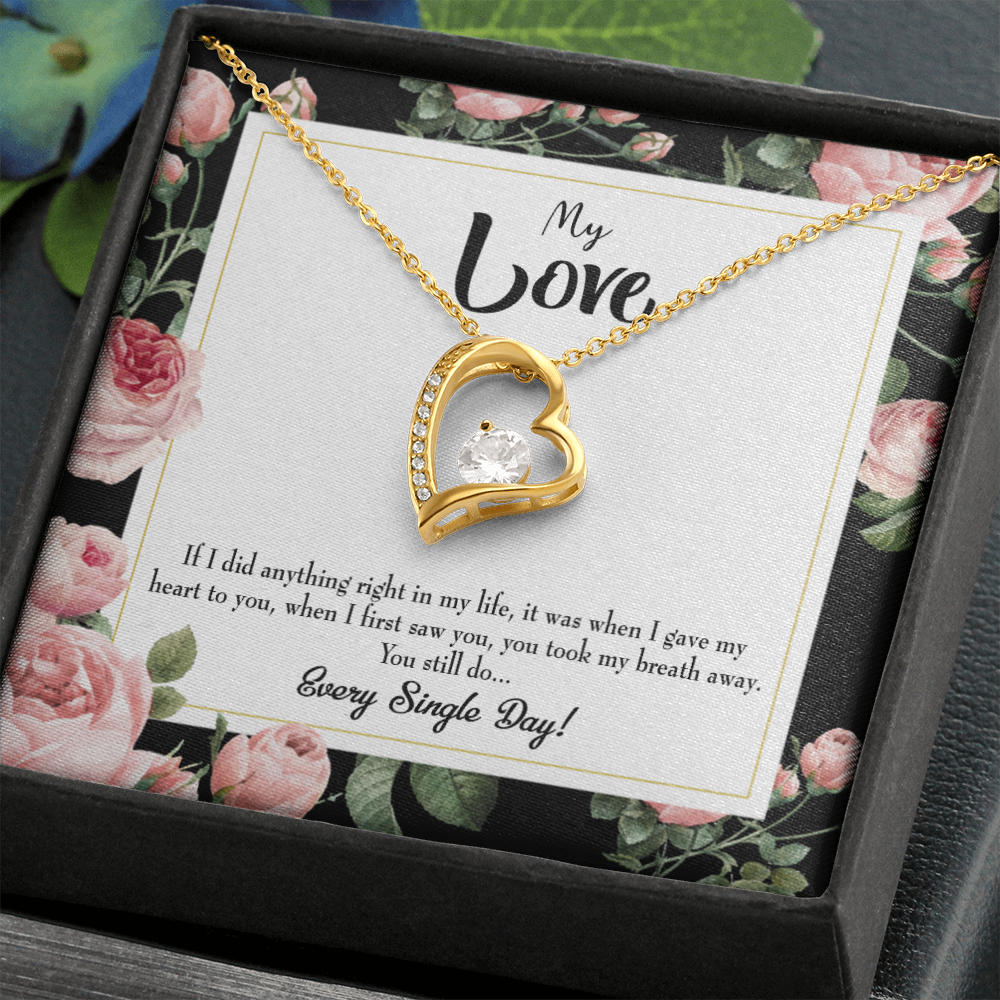 To My Girlfriend Every Single Day Forever Necklace w Message Card-Express Your Love Gifts