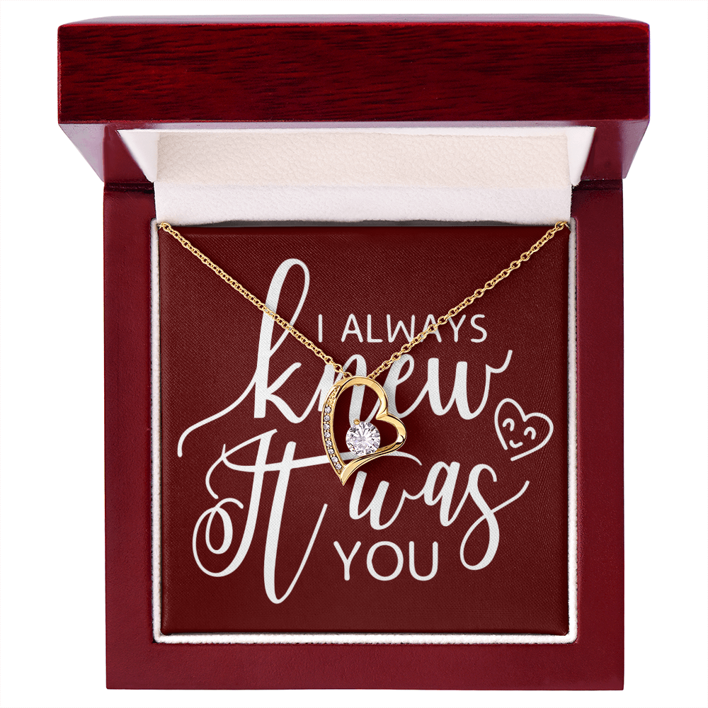 To My Girlfriend I Always Knew It Was You Forever Necklace w Message Card-Express Your Love Gifts