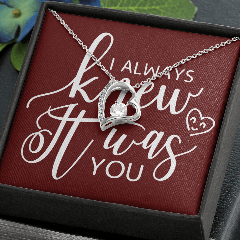 To My Girlfriend I Always Knew It Was You Forever Necklace w Message Card-Express Your Love Gifts