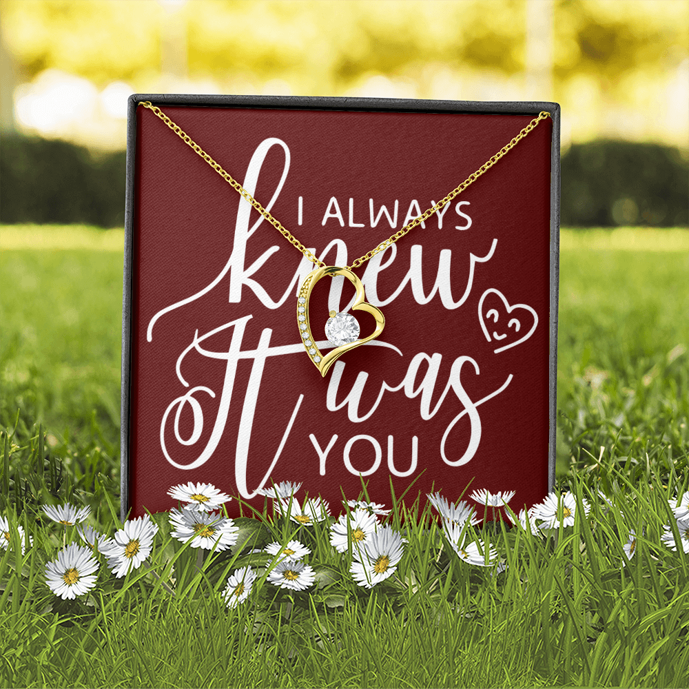 To My Girlfriend I Always Knew It Was You Forever Necklace w Message Card-Express Your Love Gifts