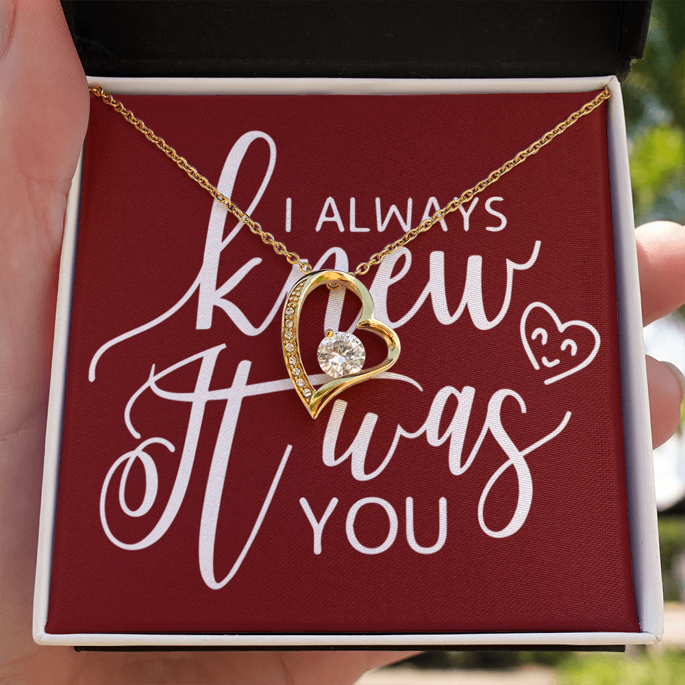 To My Girlfriend I Always Knew It Was You Forever Necklace w Message Card-Express Your Love Gifts