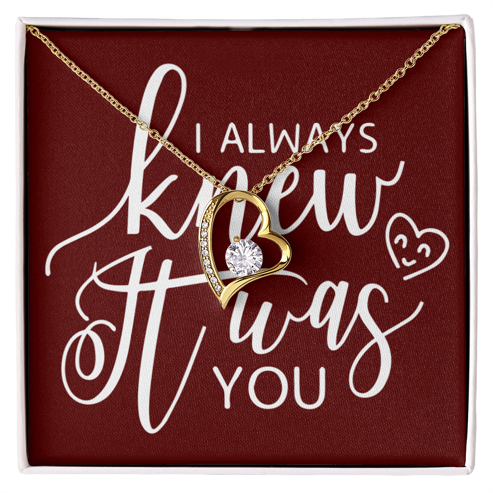 To My Girlfriend I Always Knew It Was You Forever Necklace w Message Card-Express Your Love Gifts