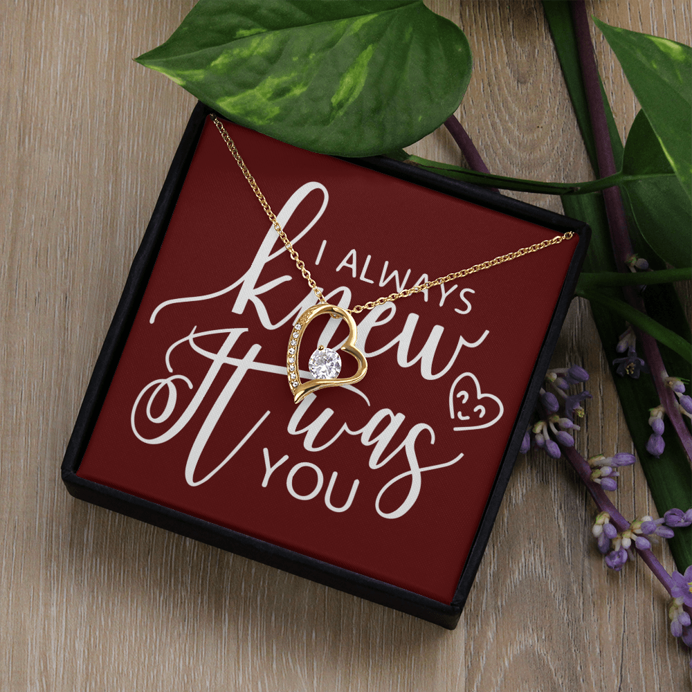 To My Girlfriend I Always Knew It Was You Forever Necklace w Message Card-Express Your Love Gifts