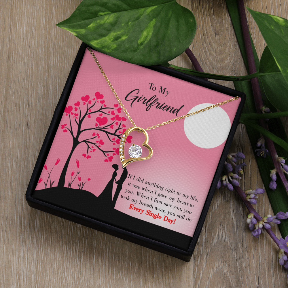 To My Girlfriend I Gave my Heart to You Forever Necklace w Message Card-Express Your Love Gifts