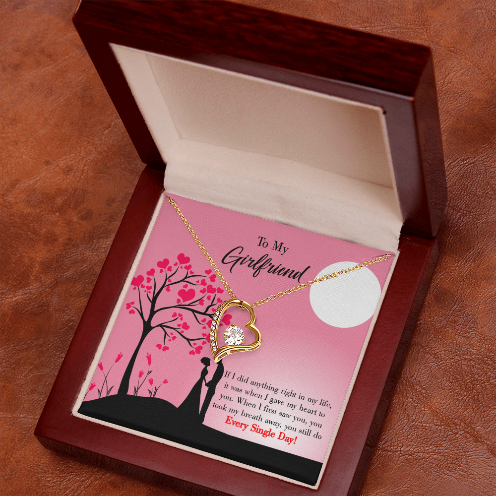 To My Girlfriend I Gave my Heart to You Forever Necklace w Message Card-Express Your Love Gifts