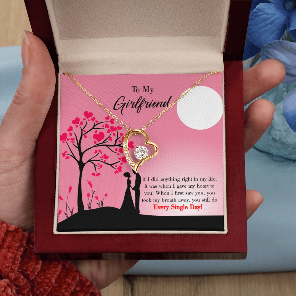 To My Girlfriend I Gave my Heart to You Forever Necklace w Message Card-Express Your Love Gifts