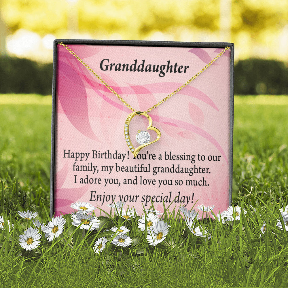 To My Granddaughter Beautiful Granddaughter Birthday Message Forever Necklace w Message Card-Express Your Love Gifts