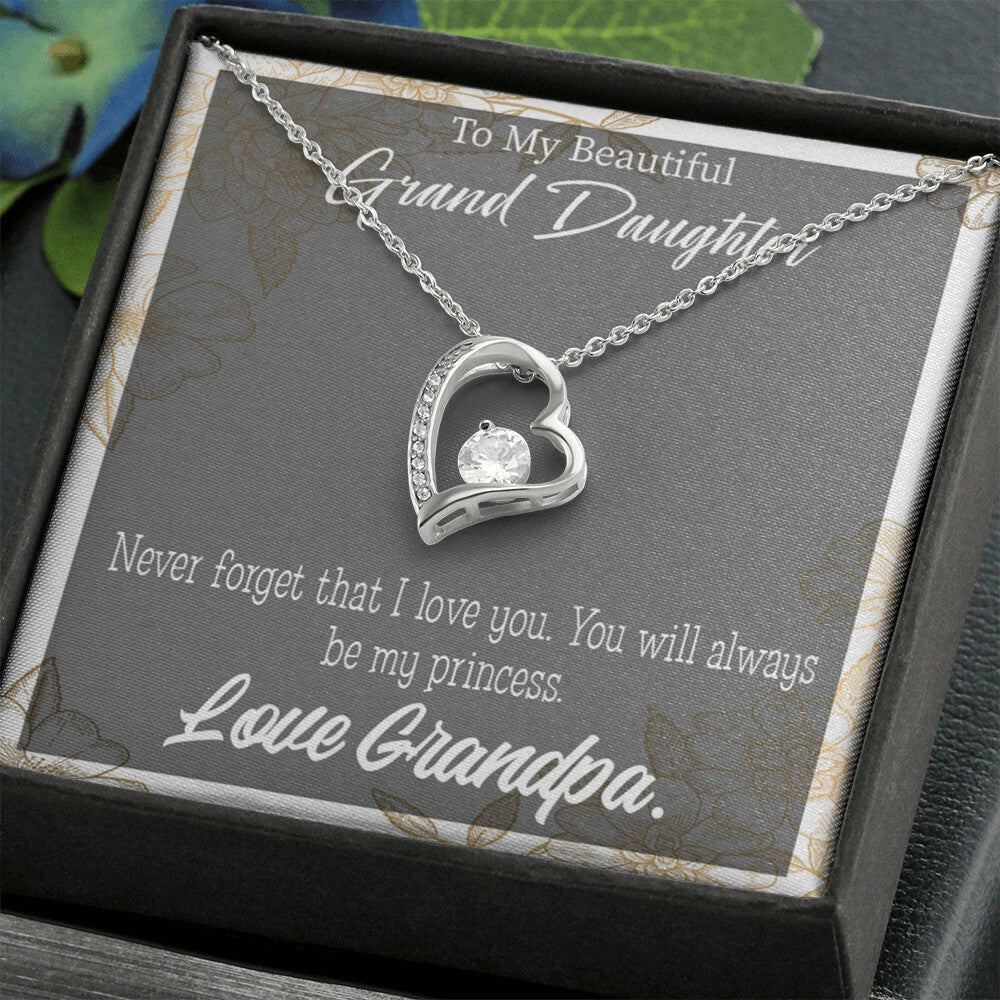To My Granddaughter Grandpa's Princess Forever Necklace w Message Card-Express Your Love Gifts