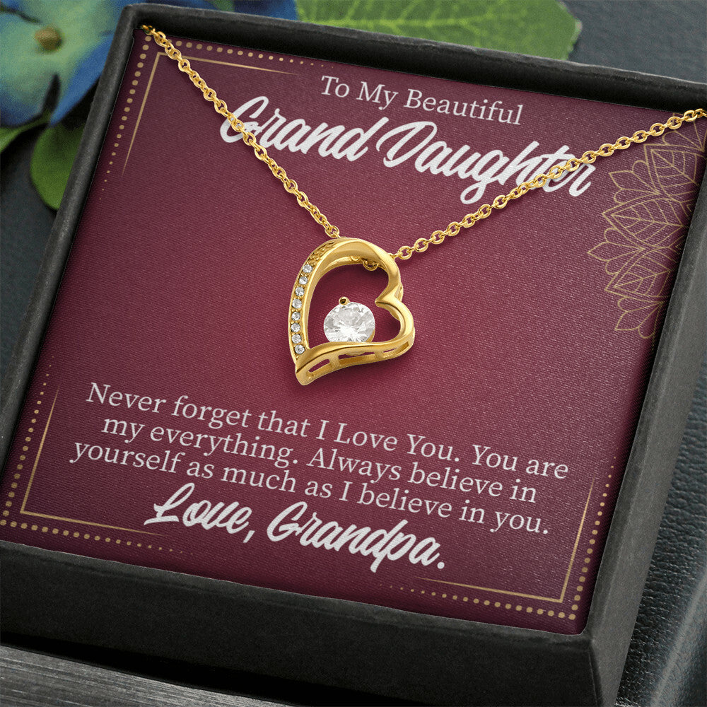 To My Granddaughter Never Forget Grandpa Forever Necklace w Message Card-Express Your Love Gifts