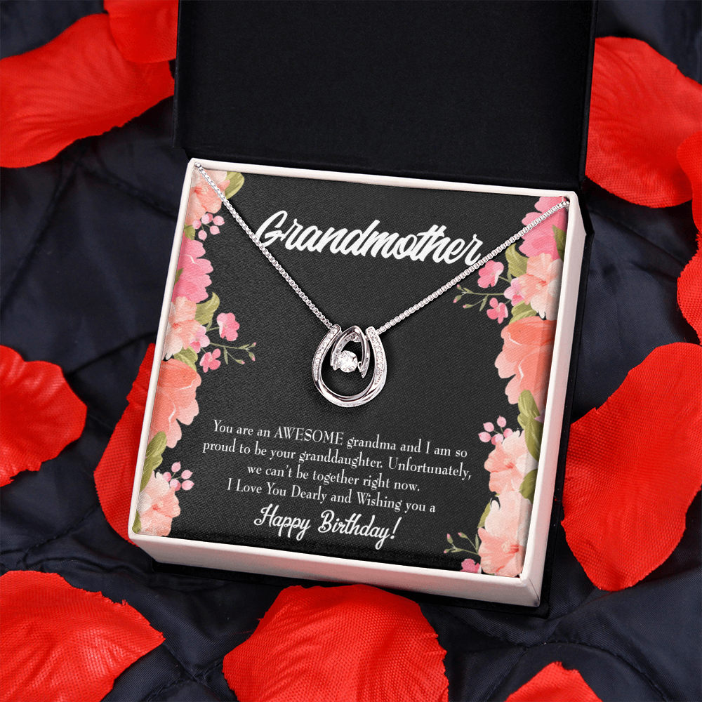 To My Grandma Awesome Grandma Birthday Message Lucky Horseshoe Necklace Message Card 14k w CZ Crystals-Express Your Love Gifts
