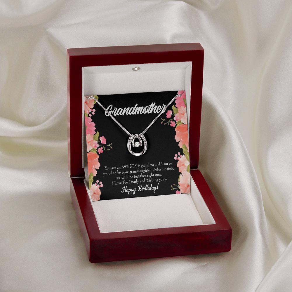 To My Grandma Awesome Grandma Birthday Message Lucky Horseshoe Necklace Message Card 14k w CZ Crystals-Express Your Love Gifts