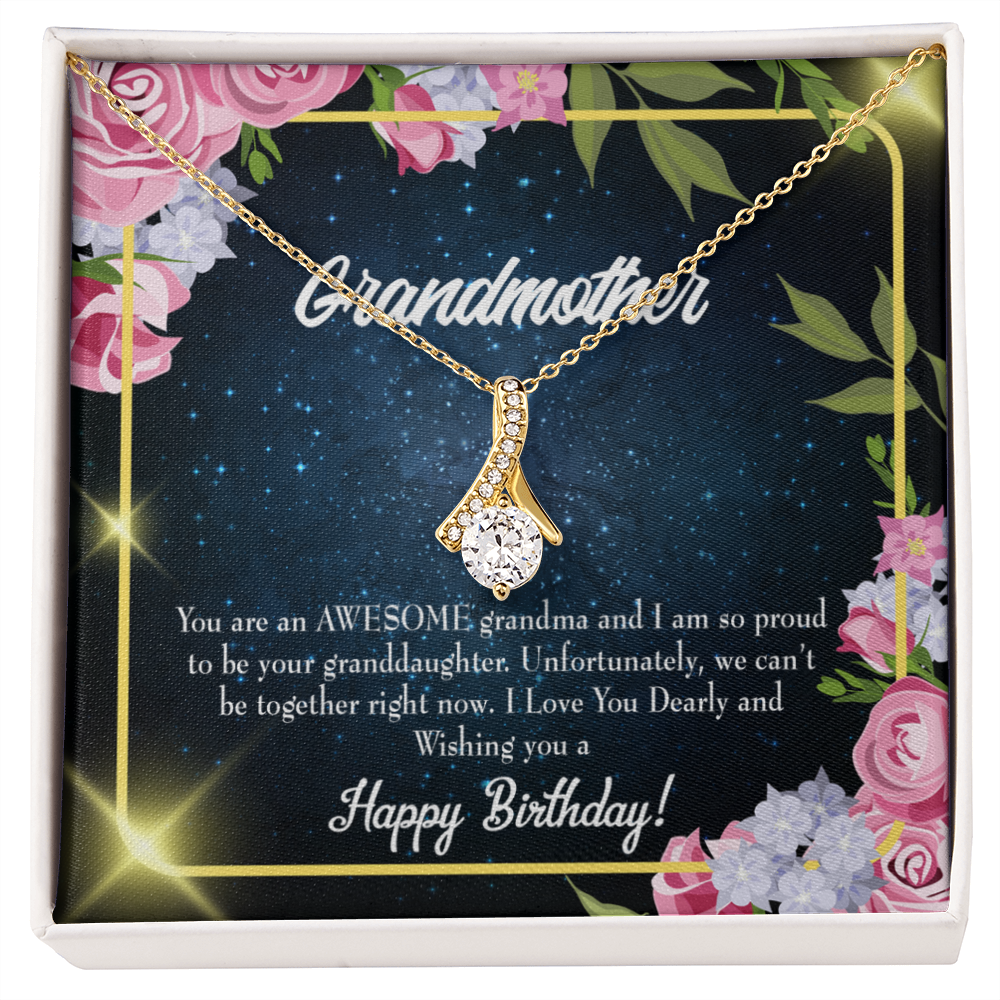 To My Grandmother Birthday Gift From Granddaughter Alluring Ribbon Necklace Message Card-Express Your Love Gifts