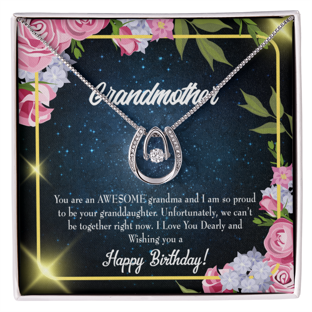 To My Grandmother Birthday Gift From Granddaughter Lucky Horseshoe Necklace Message Card 14k w CZ Crystals-Express Your Love Gifts