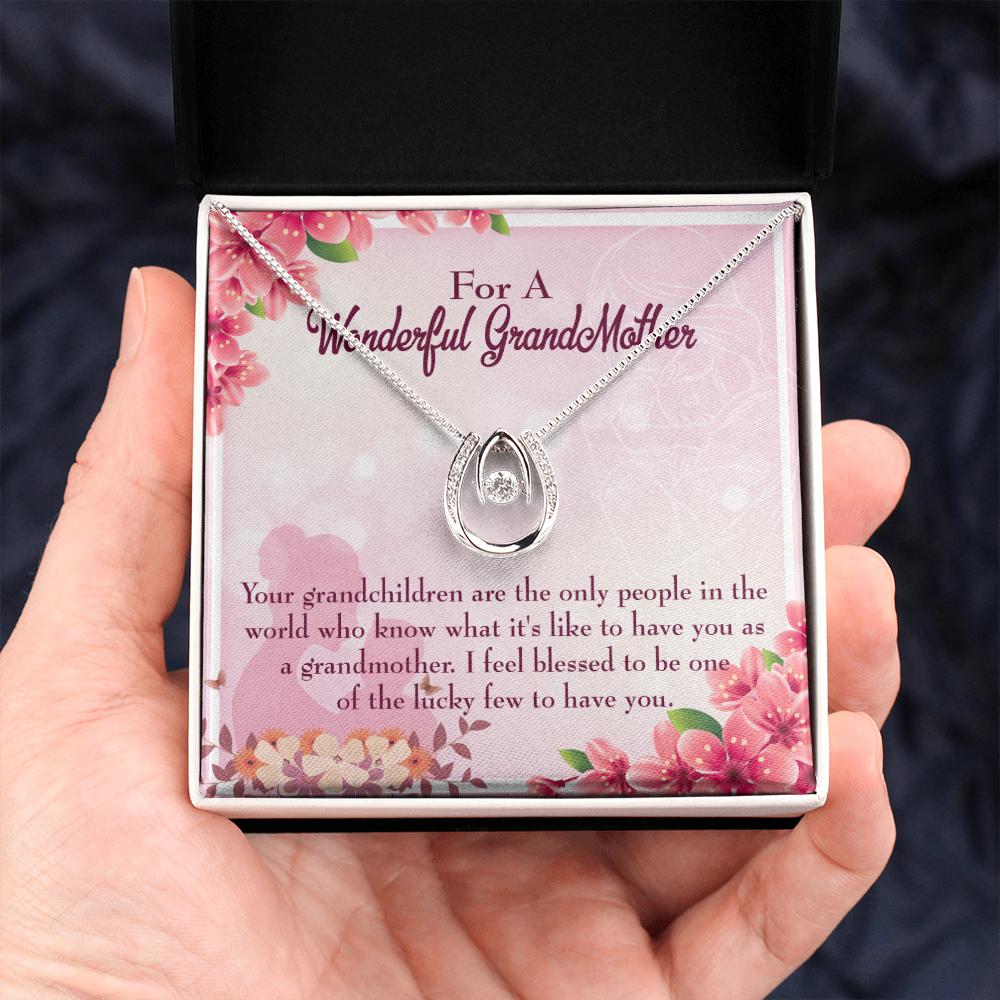 To My Grandmother Grandchild Granny Lucky Horseshoe Necklace Message Card 14k w CZ Crystals-Express Your Love Gifts