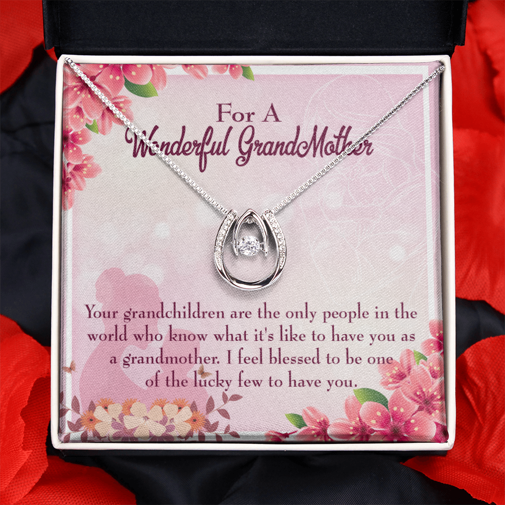 To My Grandmother Grandchild Granny Lucky Horseshoe Necklace Message Card 14k w CZ Crystals-Express Your Love Gifts