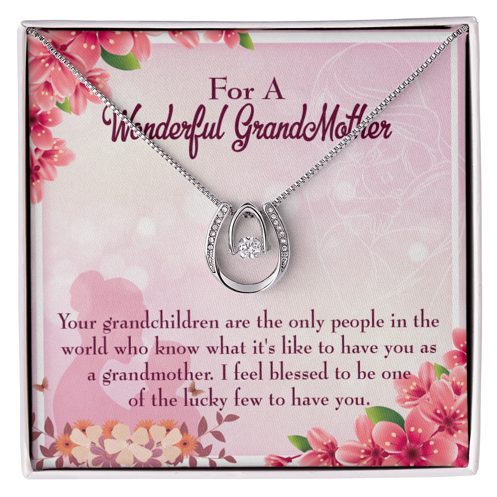 To My Grandmother Grandchild Granny Lucky Horseshoe Necklace Message Card 14k w CZ Crystals-Express Your Love Gifts