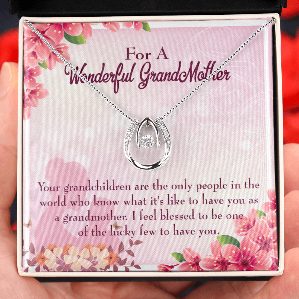 To My Grandmother Grandchild Granny Lucky Horseshoe Necklace Message Card 14k w CZ Crystals-Express Your Love Gifts